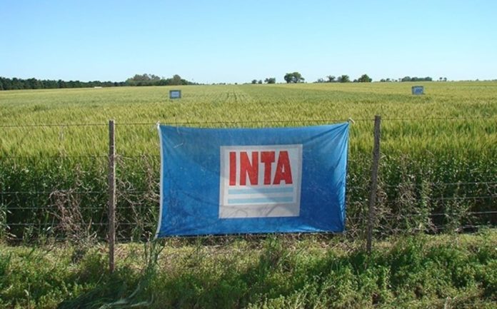 una-bandera-del-inta-en-el-interior-del-pais-el-campo-reclama-preservar-su-presencia-territorial-y-su-rol-tecnico-frente-a-posibles-cambios-estructuralesfoto-x-coninagro-IDQFOOD4VRFA3LET46SKBLMALA